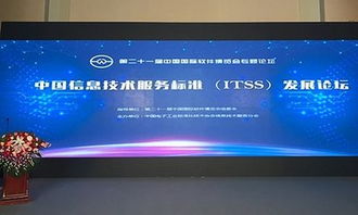 標準引領，浪潮助推 國家信息技術服務標準發布，開啟行業規范化新篇章